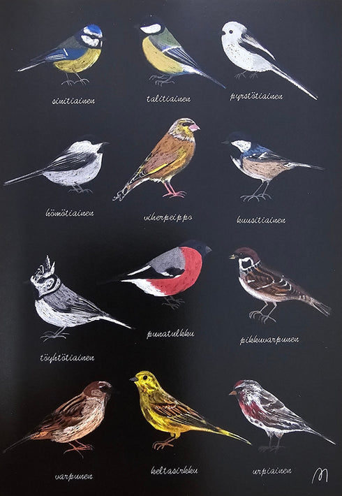 Postikortti, linnut -  Minna Ristimäki